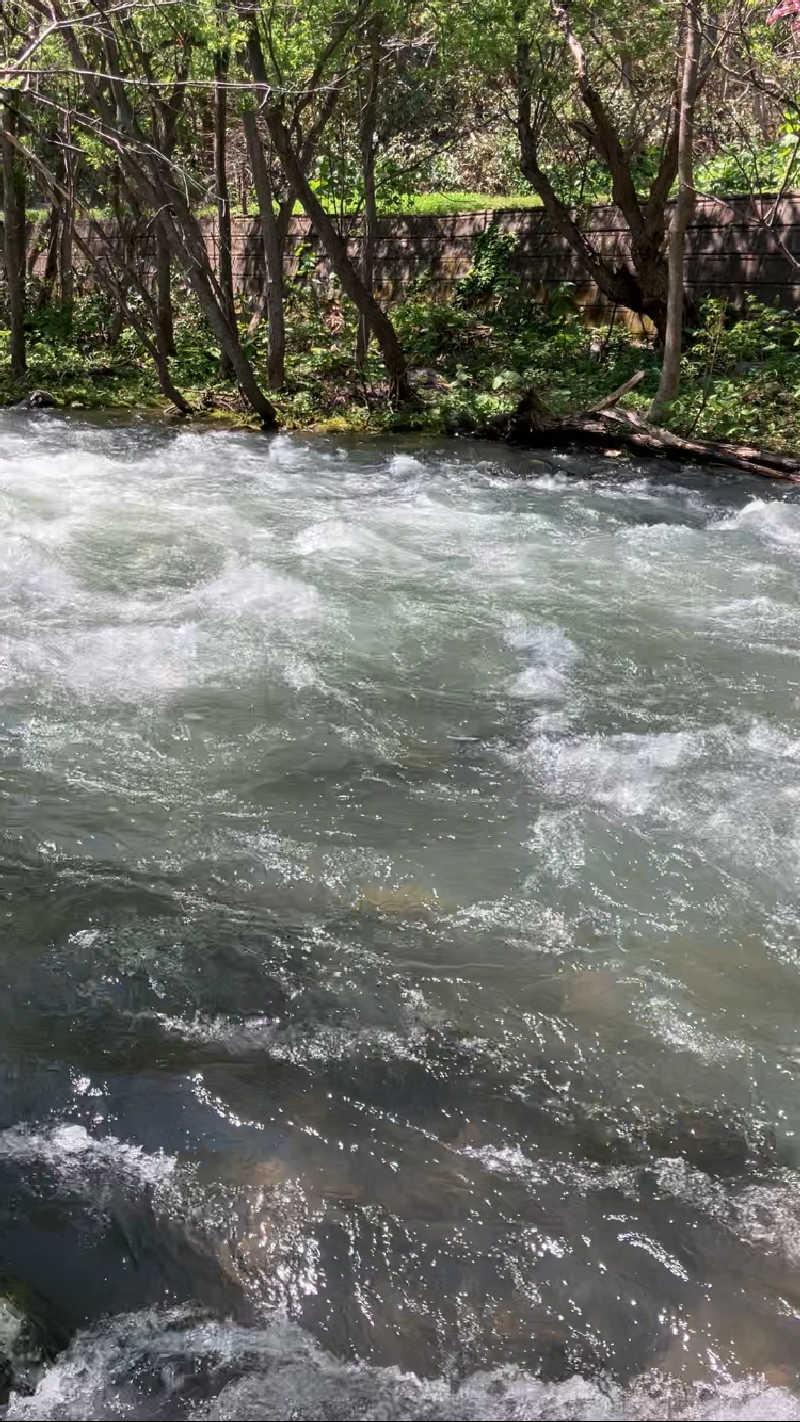 リフレ猫さんの旅房はなえみのサ活写真