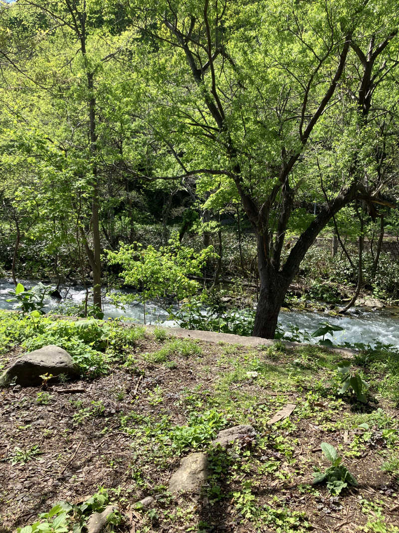 リフレ猫さんの旅房はなえみのサ活写真