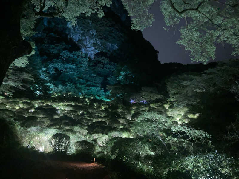 トヨピーさんの御船山楽園ホテル  らかんの湯のサ活写真