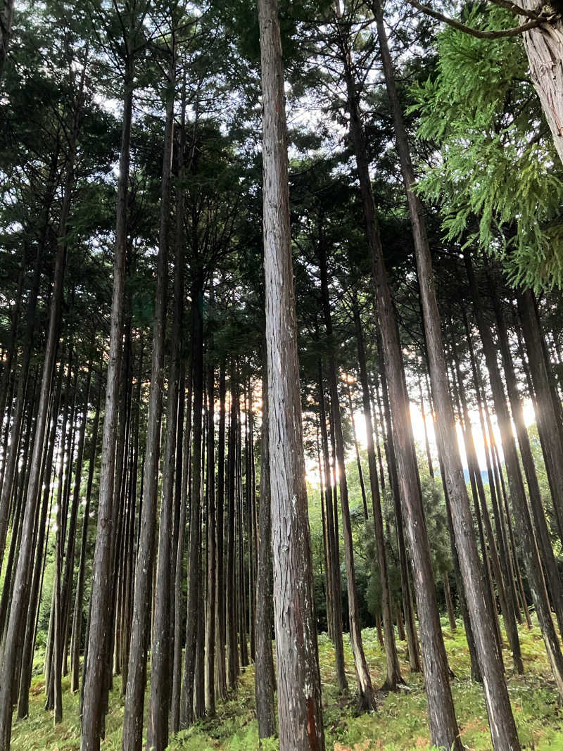 kurumiさんの8Seas Sauna HIRA(エイトシーズサウナ比良)のサ活写真