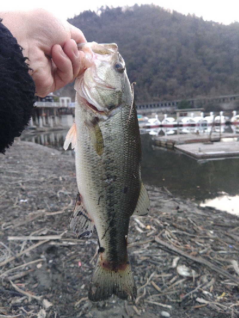 江田さんの藤野やまなみ温泉のサ活写真