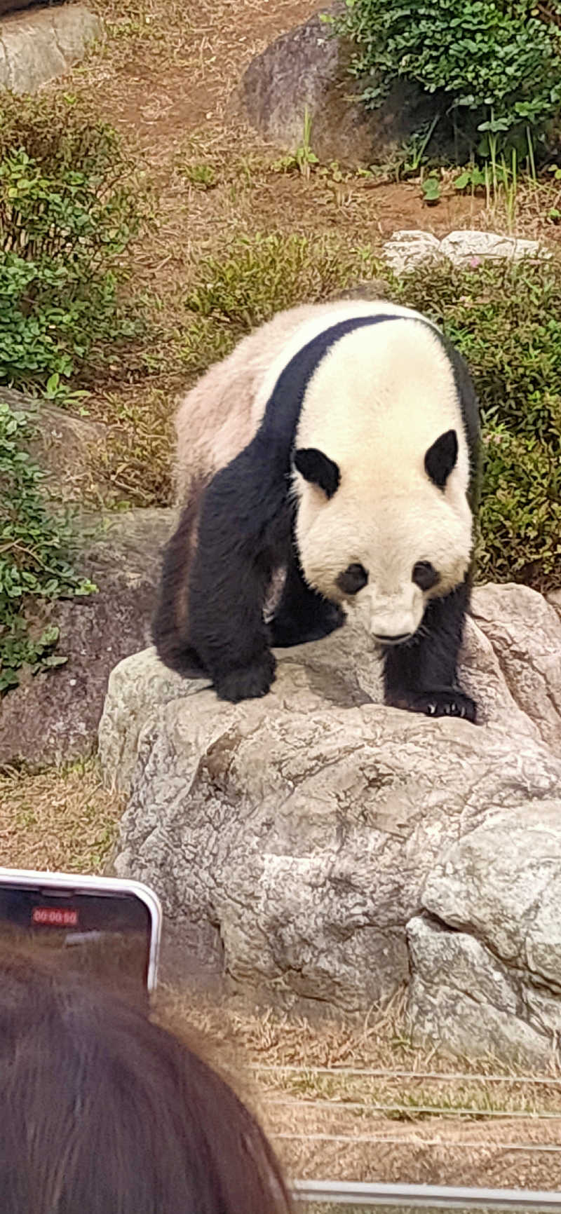 Saunaskyさんの東上野 寿湯のサ活写真