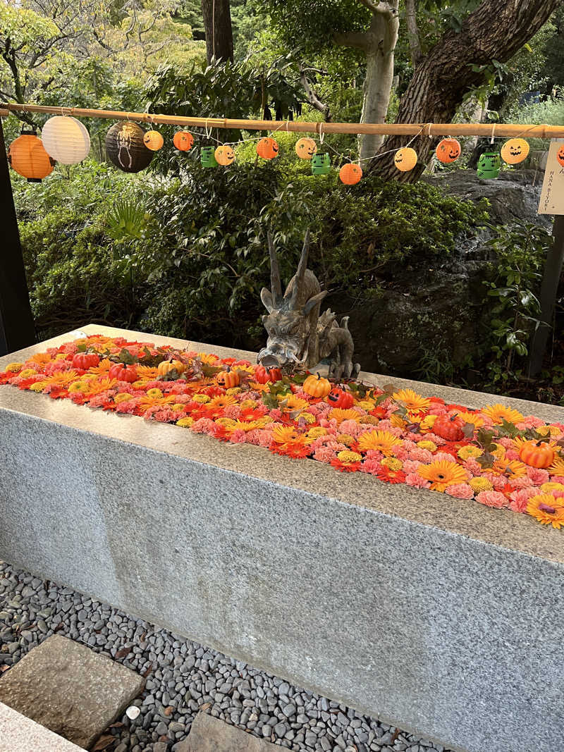 こぇさんのよみうりランド眺望温泉 花景の湯のサ活写真