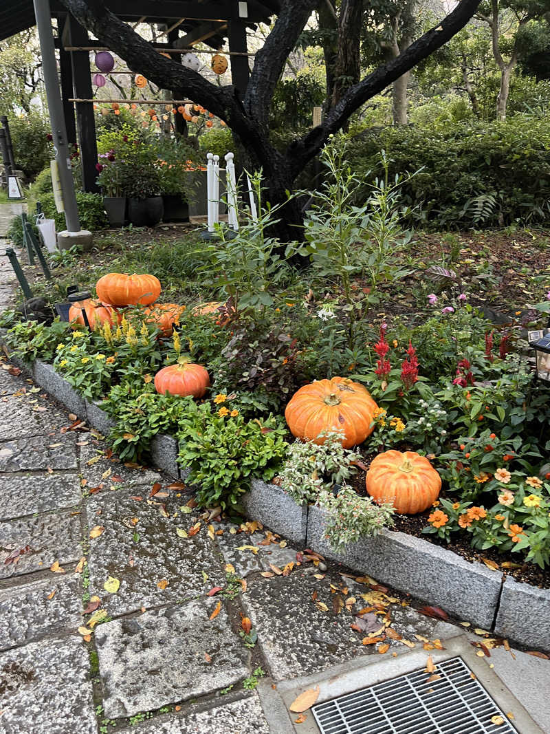 こぇさんのよみうりランド眺望温泉 花景の湯のサ活写真