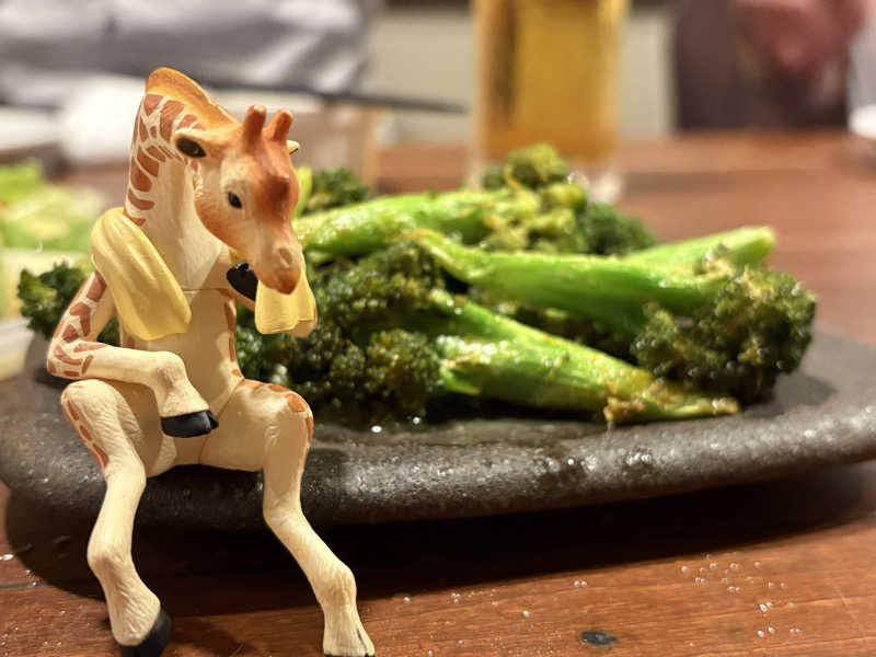 きりんちゃんさんの湯屋サーモンのサ活写真