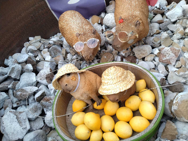 もっちーさんの富士山天然水SPA サウナ鷹の湯のサ活写真