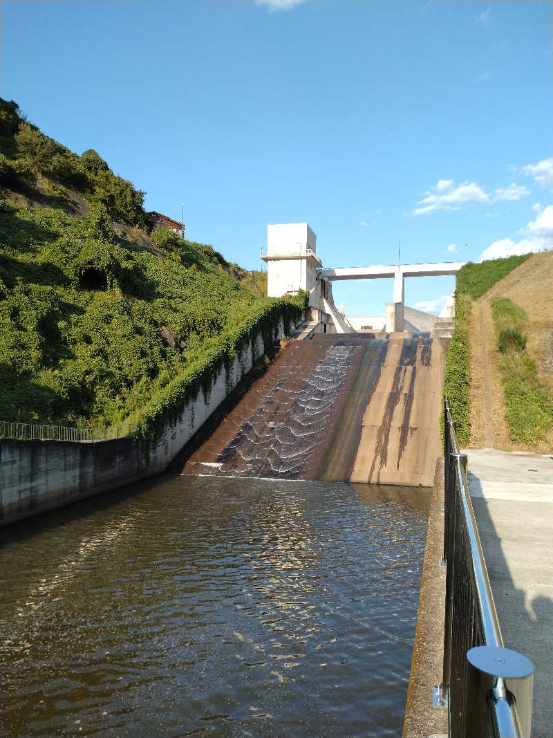 もっちーさんのひばり温泉のサ活写真