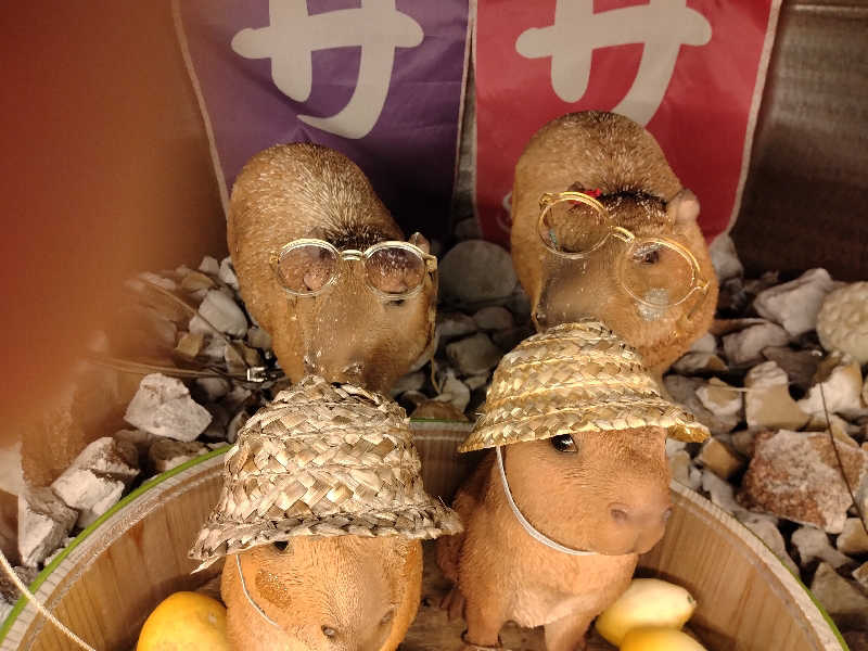 もっちーさんの富士山天然水SPA サウナ鷹の湯のサ活写真