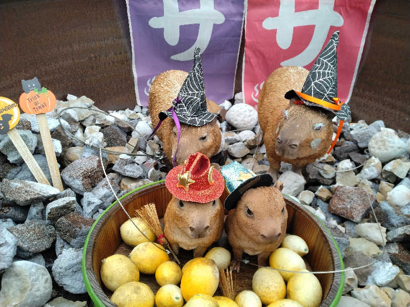 もっちーさんの富士山天然水SPA サウナ鷹の湯のサ活写真
