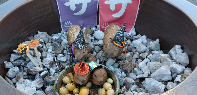 もっちーさんの富士山天然水SPA サウナ鷹の湯のサ活写真