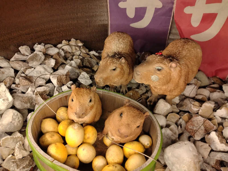 もっちーさんの富士山天然水SPA サウナ鷹の湯のサ活写真