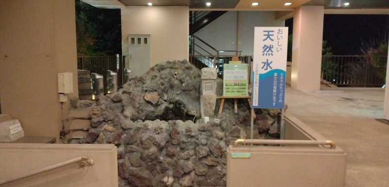 もっちーさんの駿河の湯 坂口屋のサ活写真