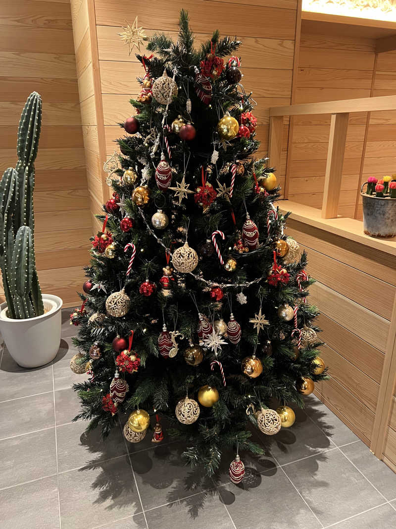 たつさんのニュージャパン 梅田店(カプセルイン大阪)のサ活写真