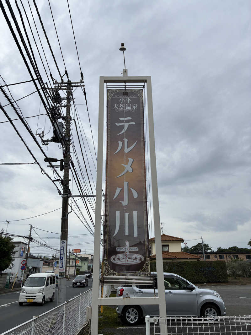 hỹp̃ẽ_はいぽたんさんの小平天然温泉テルメ小川のサ活写真