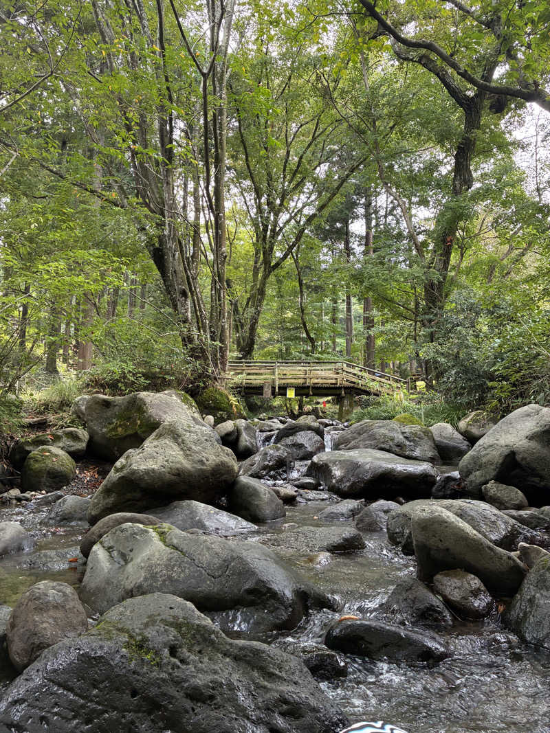 hỹp̃ẽ_はいぽたんさんの公衆アウトドアサウナ ノサウナのサ活写真
