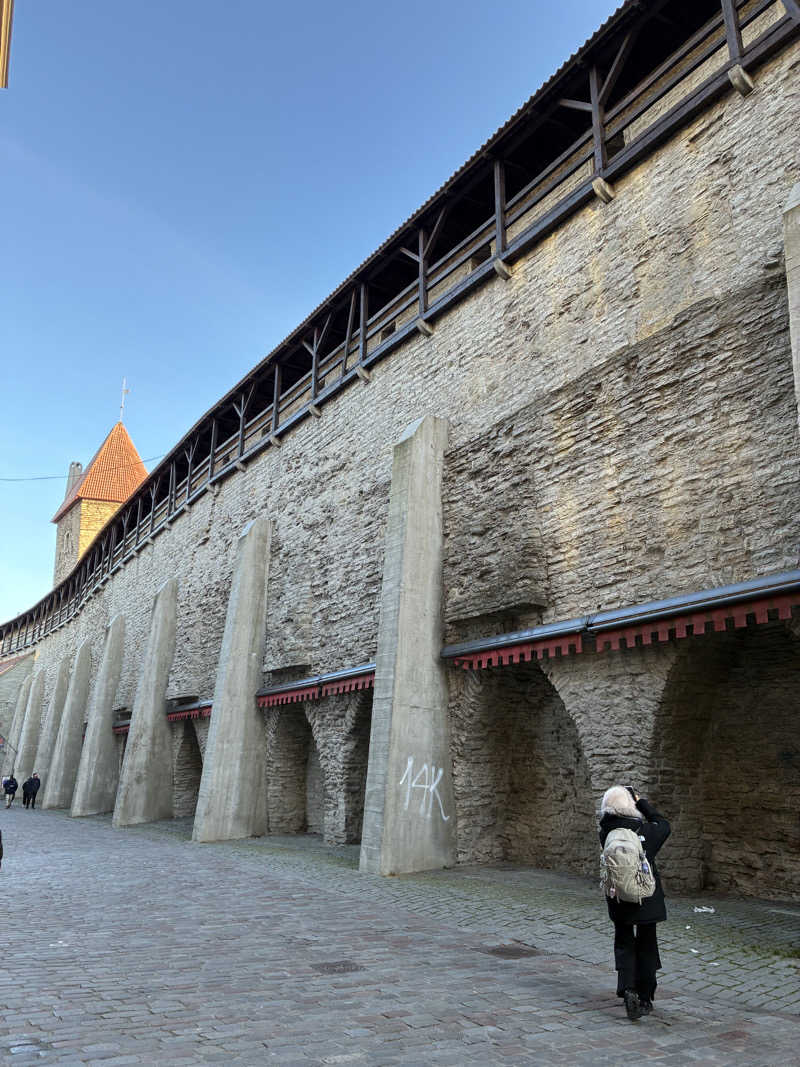 hỹp̃ẽ_はいぽたんさんのMustamäe Elamus Spaのサ活写真