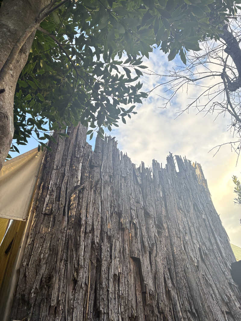 hỹp̃ẽ_はいぽたんさんのWITH Kamakuraのサ活写真