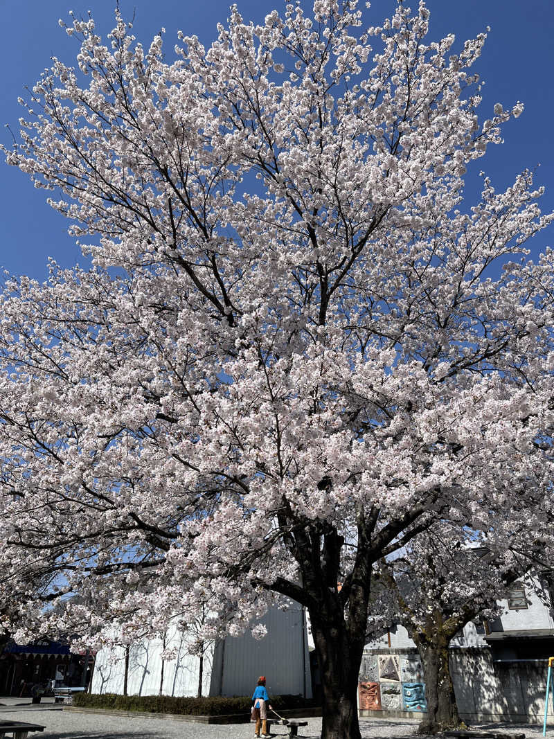 梟佐(Syuusuke)さんの山梨泊まれる温泉 より道の湯のサ活写真