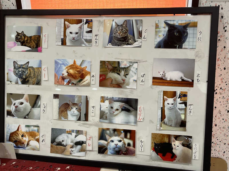 梟佐(Syuusuke)さんの友の湯のサ活写真