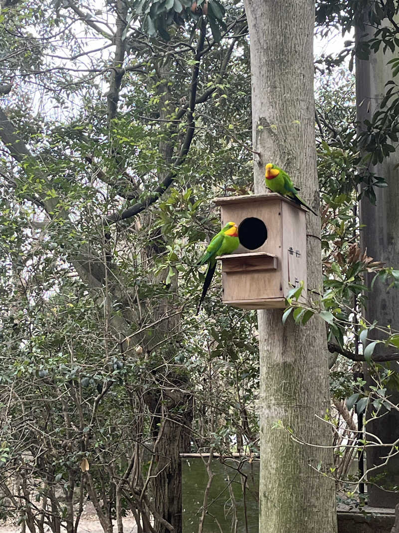 梟佐(Syuusuke)さんの天然温泉 湯どんぶり栄湯のサ活写真