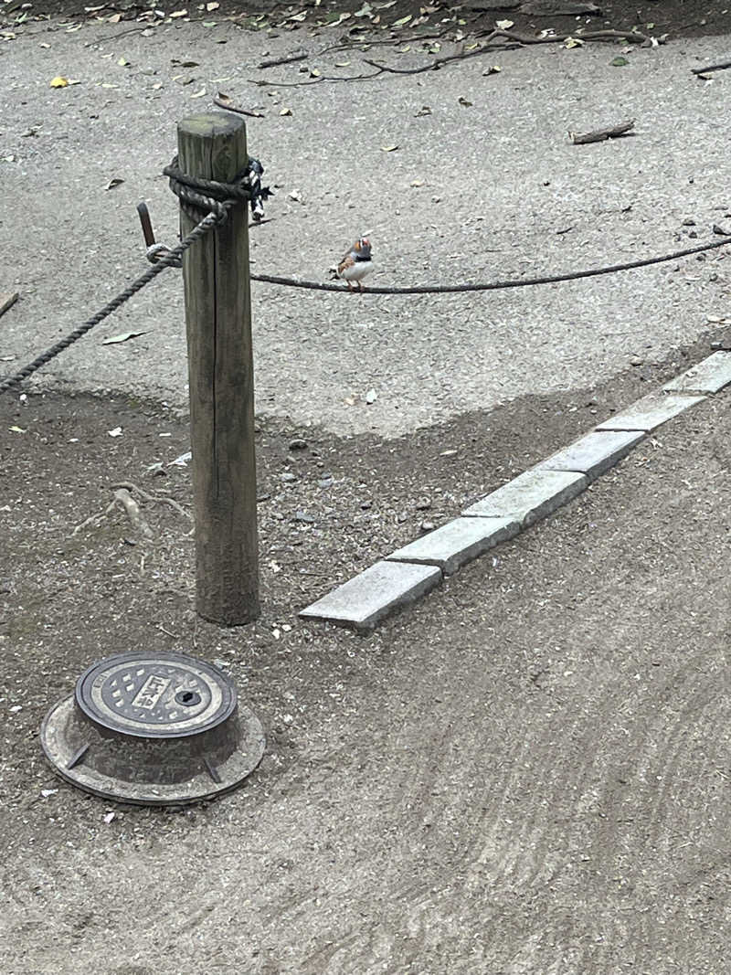 梟佐(Syuusuke)さんの天然温泉 湯どんぶり栄湯のサ活写真