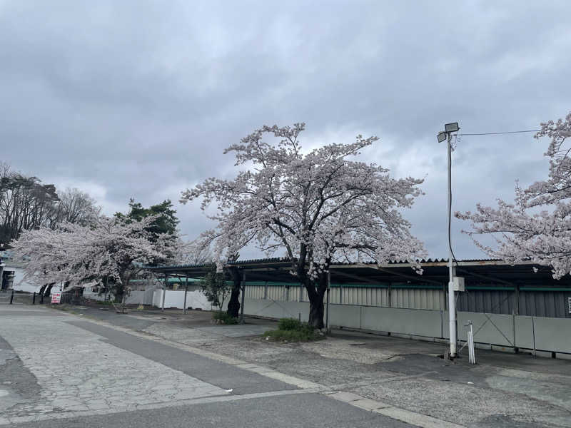 週一　サウナガールさんのひばり温泉のサ活写真
