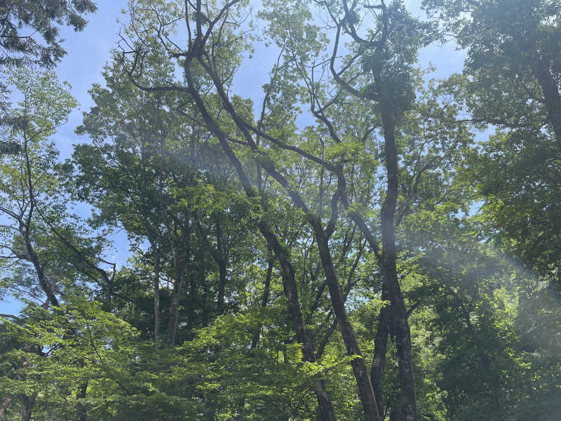 週一　サウナガールさんのOUSE SAUNA TUULI(OUSE Camp&Sauna TUULI内)のサ活写真