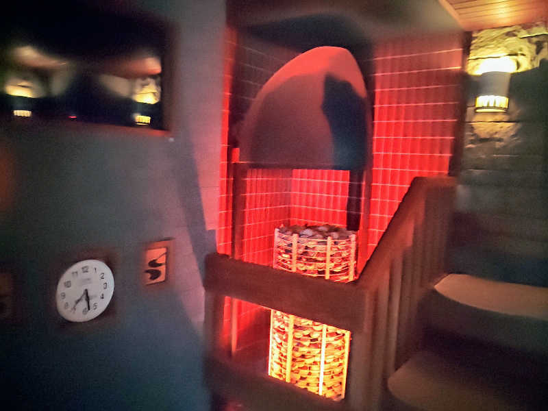 ロッドマンさんのサウナ&カプセルホテル 北欧のサ活写真