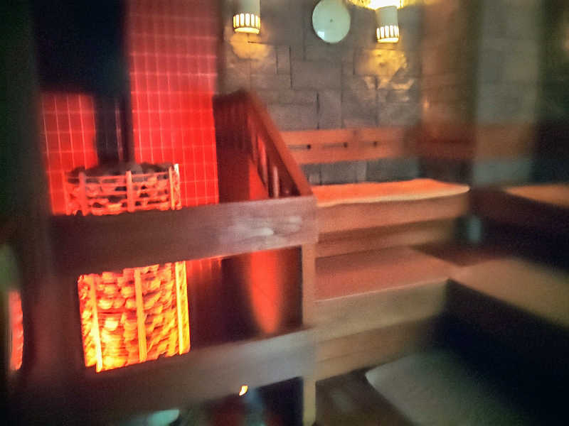 ロッドマンさんのサウナ&カプセルホテル 北欧のサ活写真