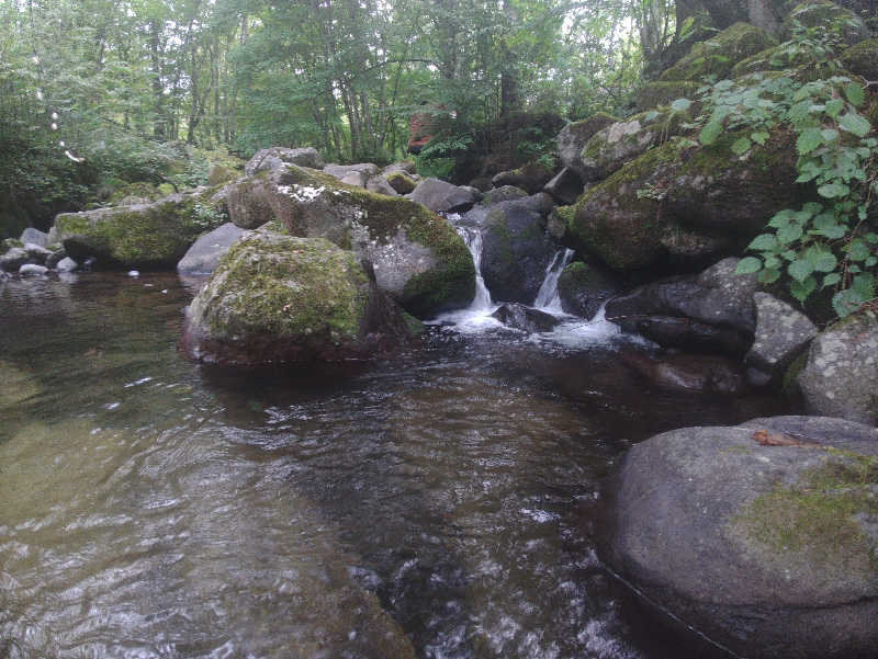 ロッドマンさんの八千穂SAUNAのサ活写真