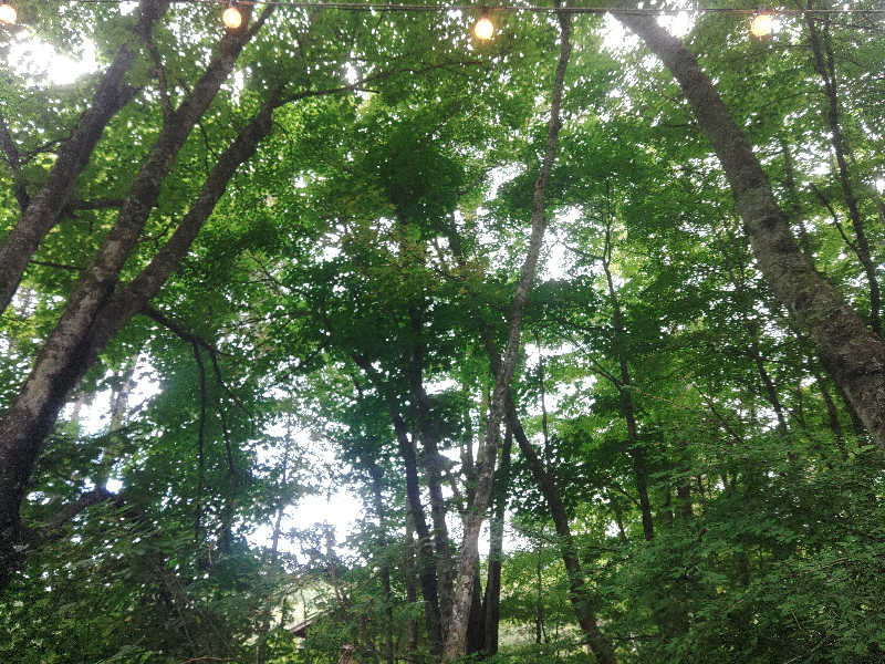 ロッドマンさんの八千穂SAUNAのサ活写真