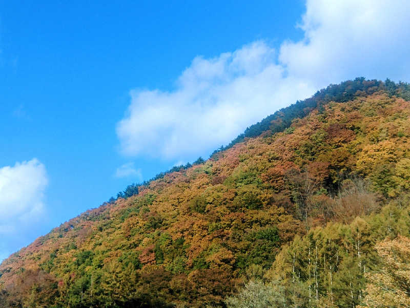ロッドマンさんの八千穂SAUNAのサ活写真