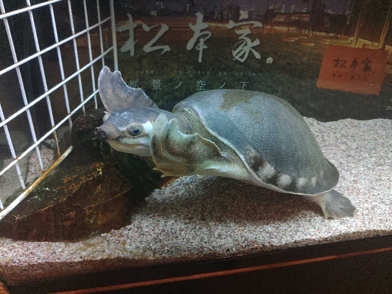 ロッドマンさんの松本湯のサ活写真