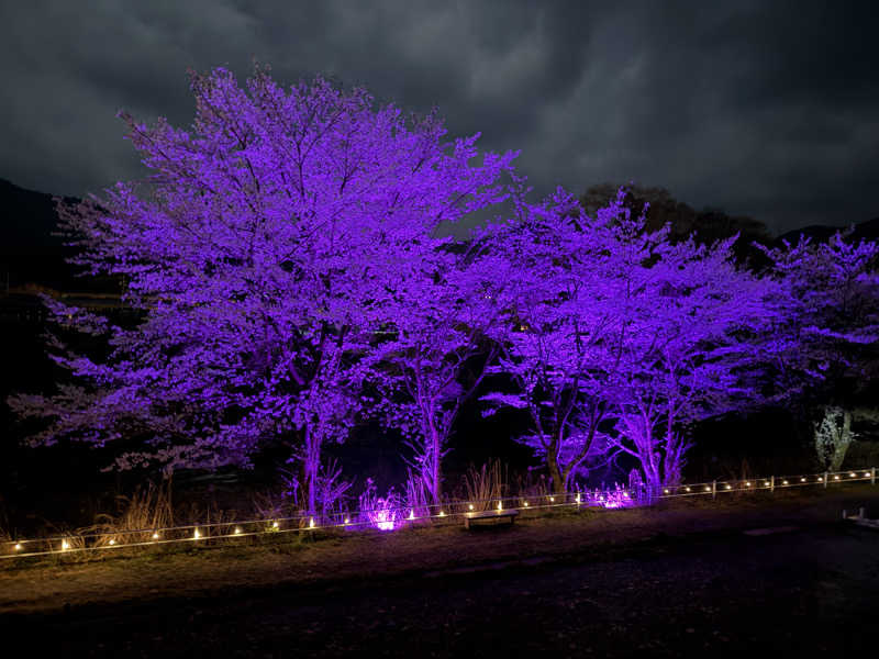 あんもあまるさんのとうえい温泉 花まつりの湯のサ活写真