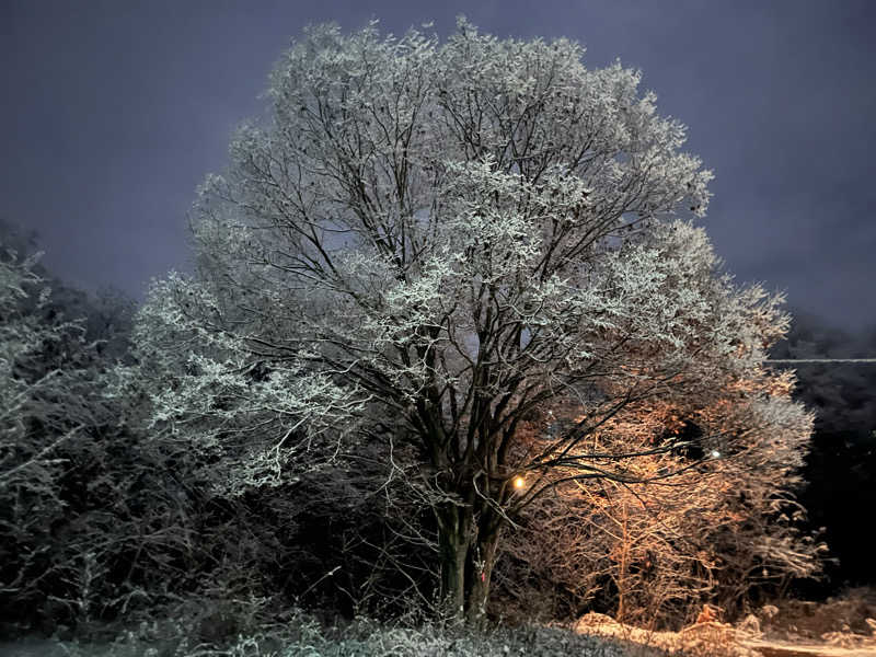福島（和尚）さんの秩父湯元 武甲温泉のサ活写真