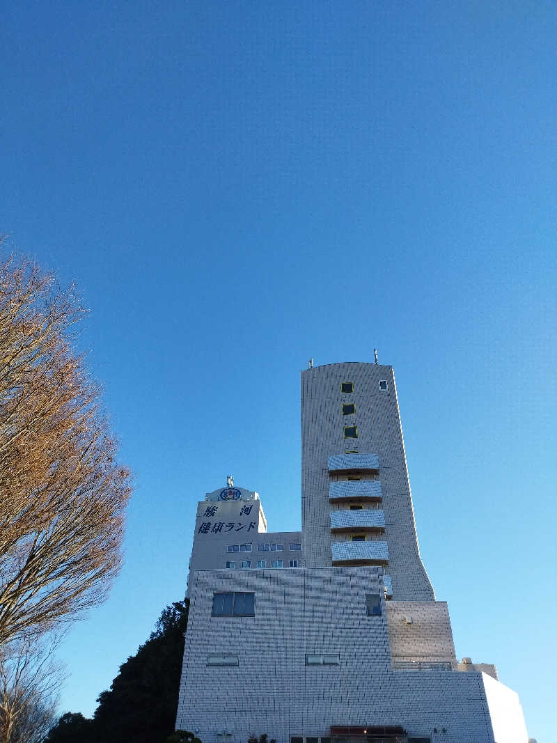 信州サウナーこーへーさんの駿河健康ランドのサ活写真