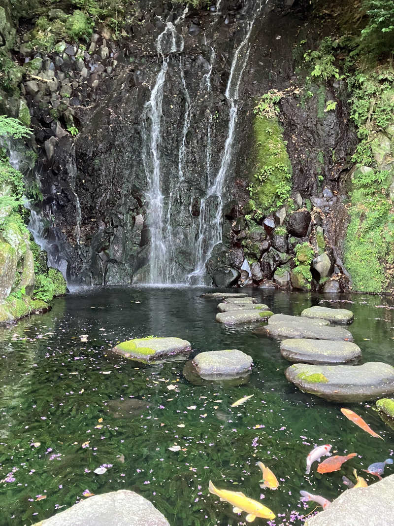 あまみゆうさんの箱根湯本温泉 天成園のサ活写真