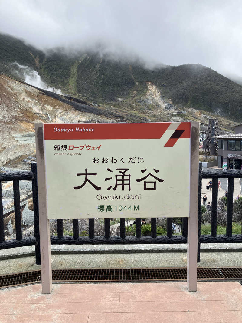 あまみゆうさんの箱根湯本温泉 天成園のサ活写真