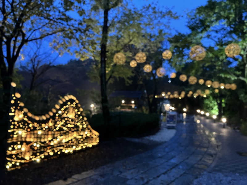 あまみゆうさんのよみうりランド眺望温泉 花景の湯のサ活写真