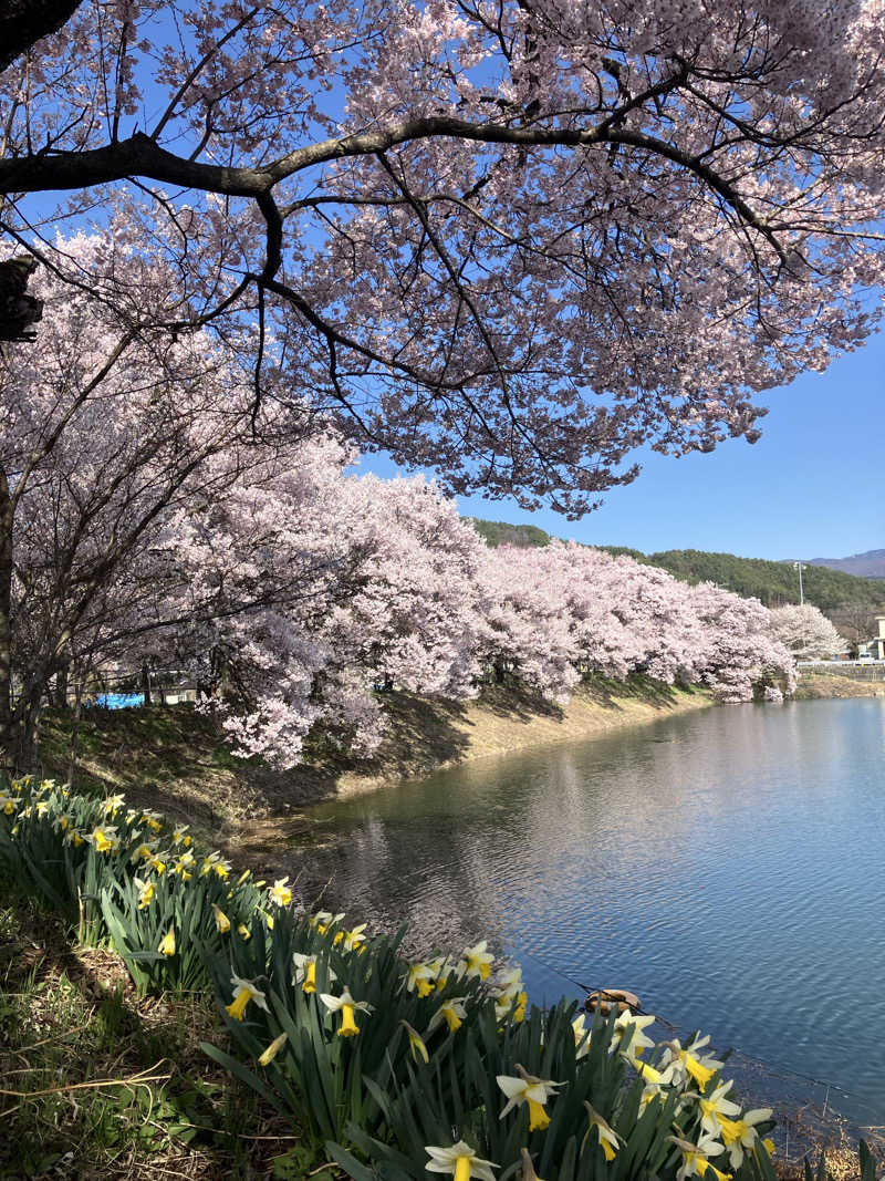 あまみゆうさんのみはらしの湯のサ活写真