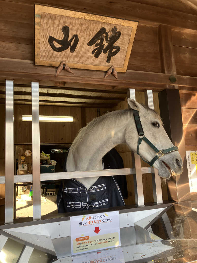 あまみゆうさんの神馬の湯のサ活写真