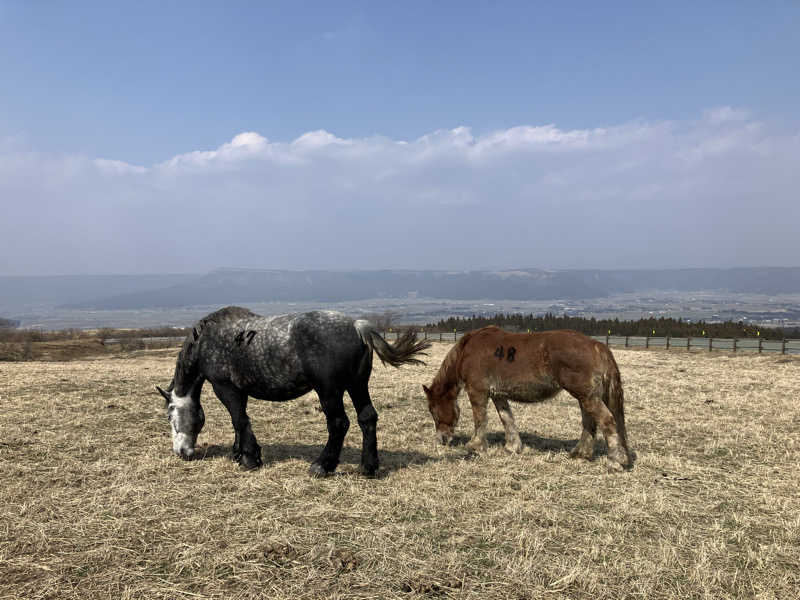 あまみゆうさんの黒川荘のサ活写真
