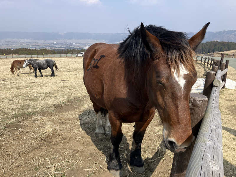 あまみゆうさんの黒川荘のサ活写真