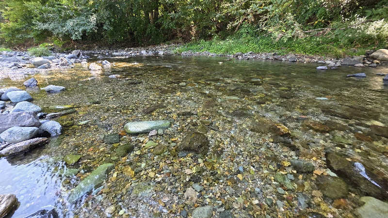 実況パワフルプロサウナさんのCOMORIVER(コモリバ)のサ活写真