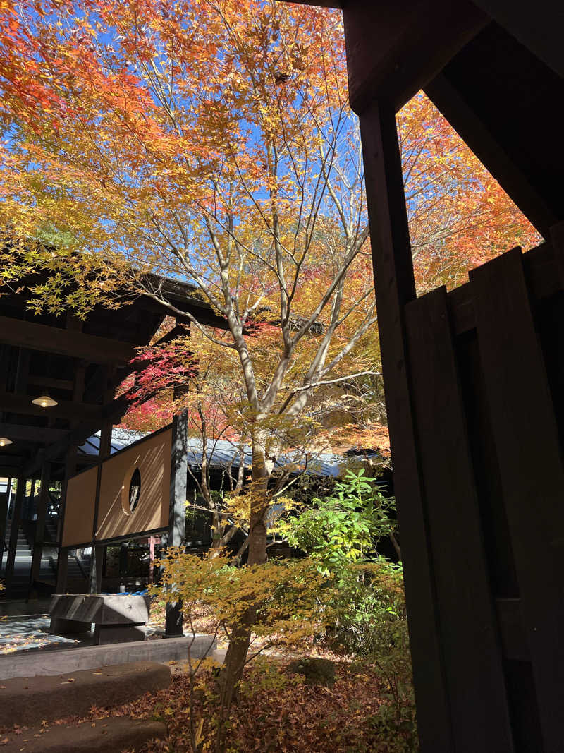 Nnさんの箱根湯寮のサ活写真