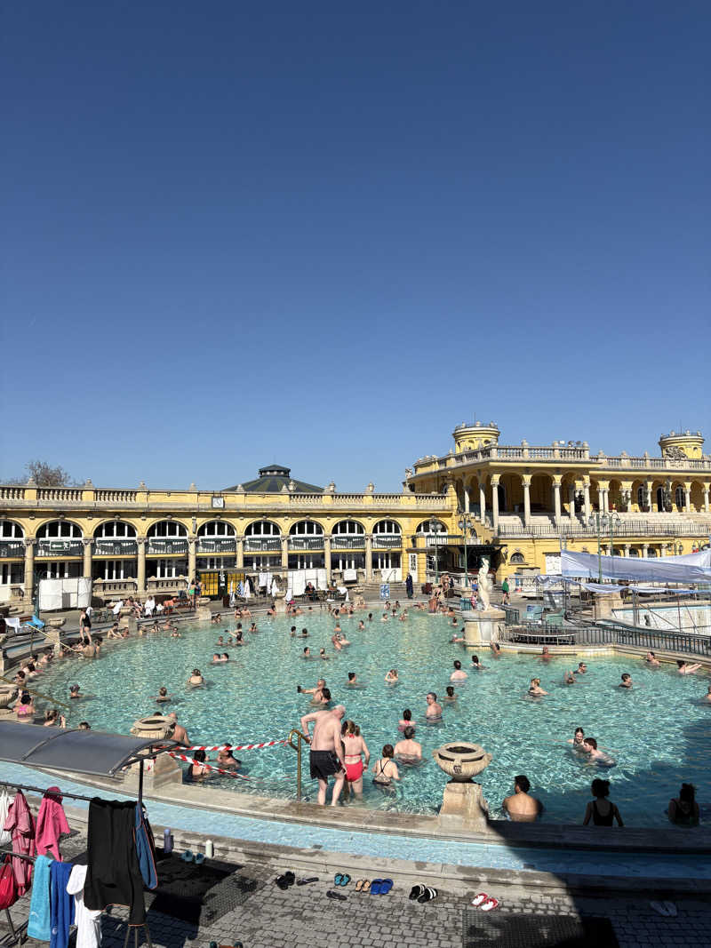 のんさんのセーチェーニ温泉のサ活写真