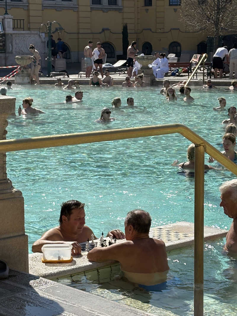 のんさんのセーチェーニ温泉のサ活写真