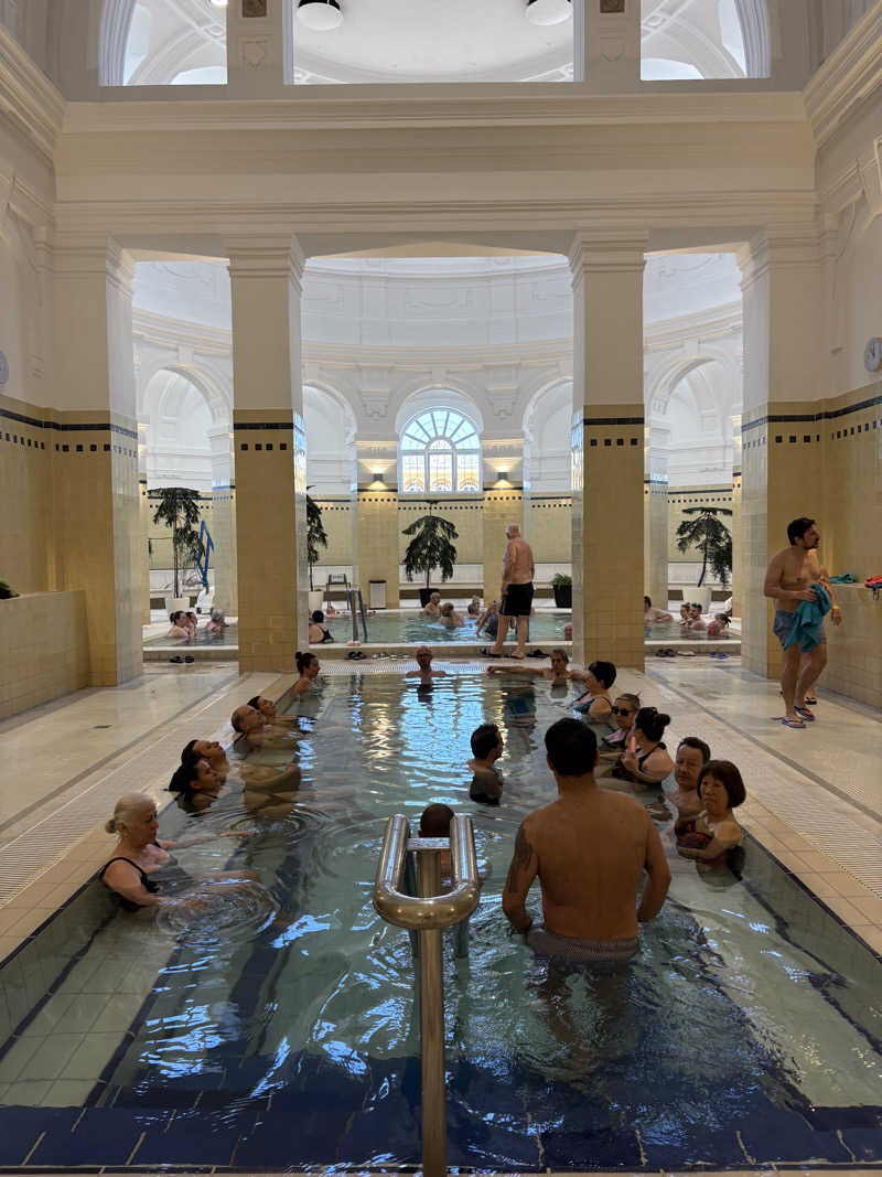 のんさんのセーチェーニ温泉のサ活写真