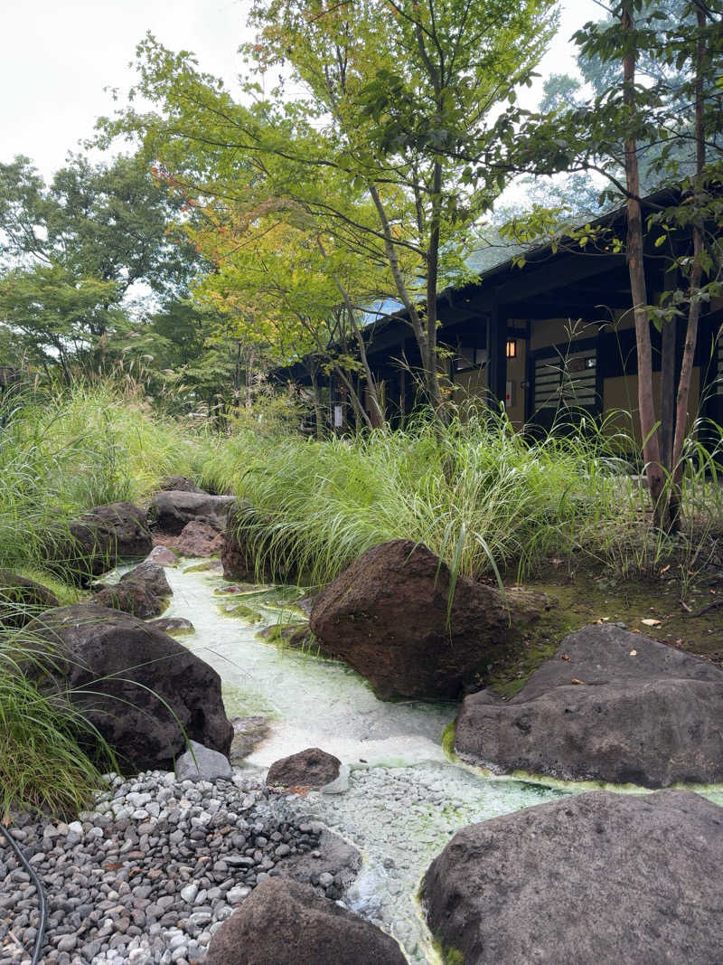 sora_yokoさんの寒の地獄旅館のサ活写真