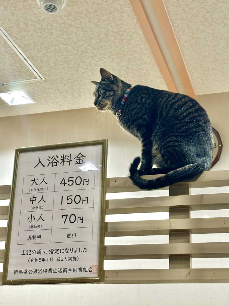 〇〇と熱気は高いところがお好きさんの湯あそびひろば 川内温泉のサ活写真